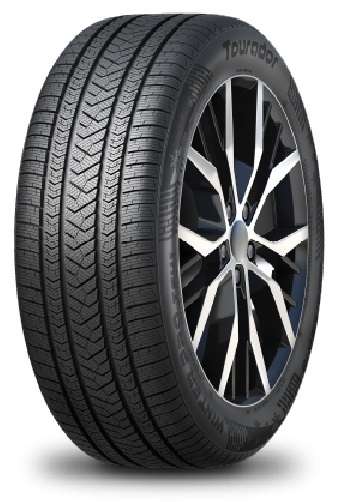 Tourador  WINTER PRO TSU1 100V