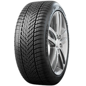 Dunlop  Winter