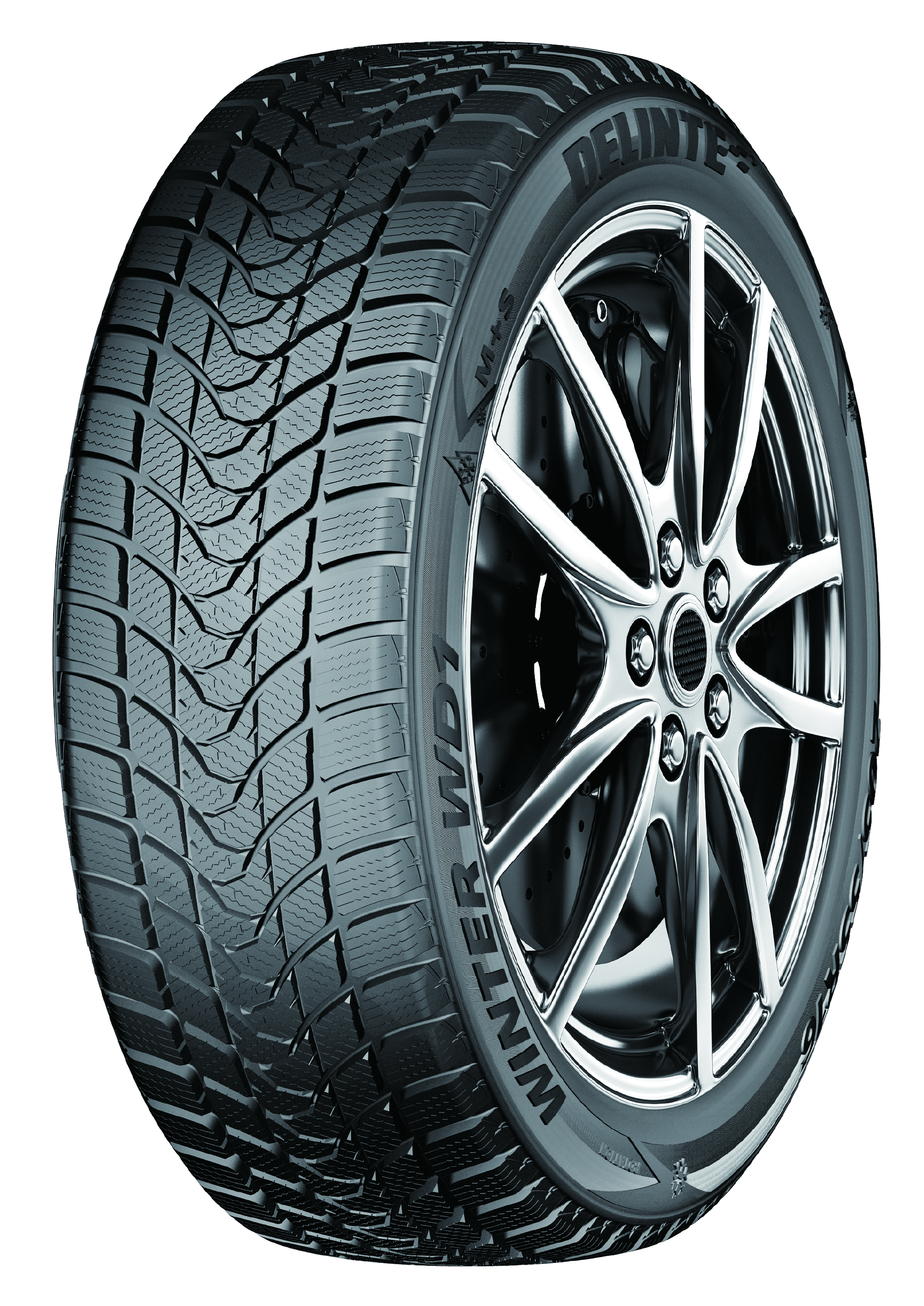 Delinte  WINTER WD1 100H