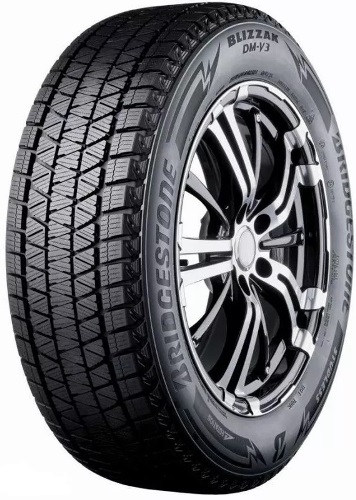Bridgestone  DM-V3 98S