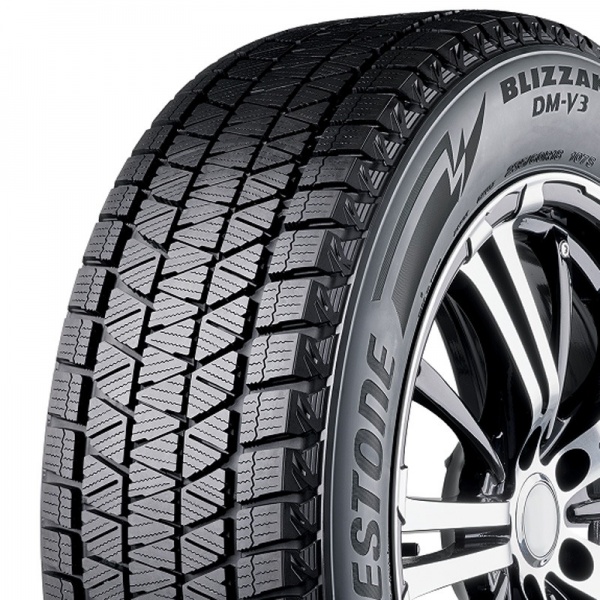 Bridgestone  DM-V3 100T