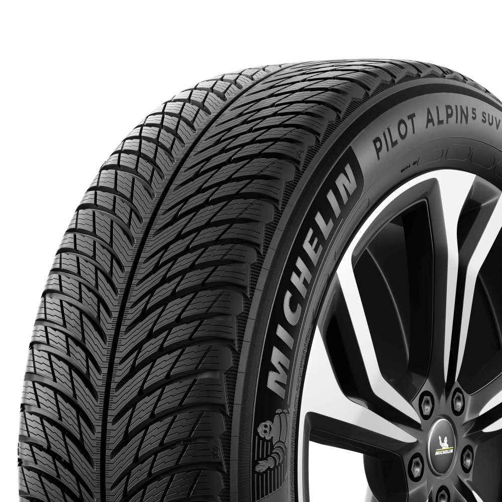 Michelin  PILOT ALPIN 5 115V