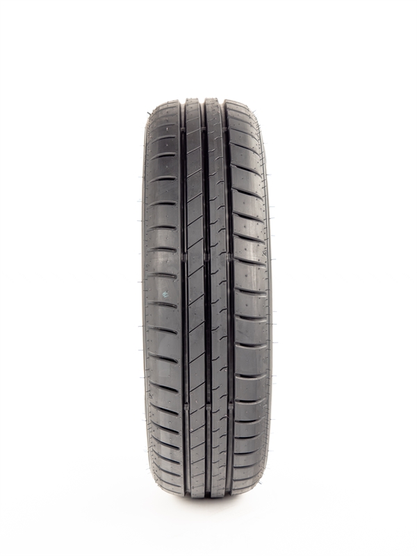 Falken  SN110 81H