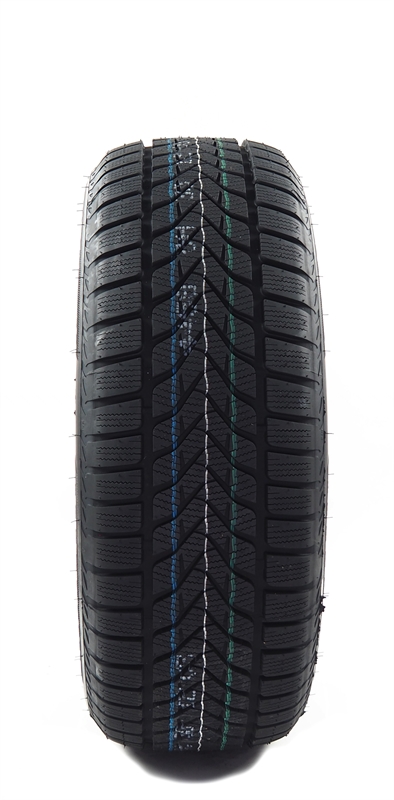 Lassa  COMPETUS WINTER 2+ 100V