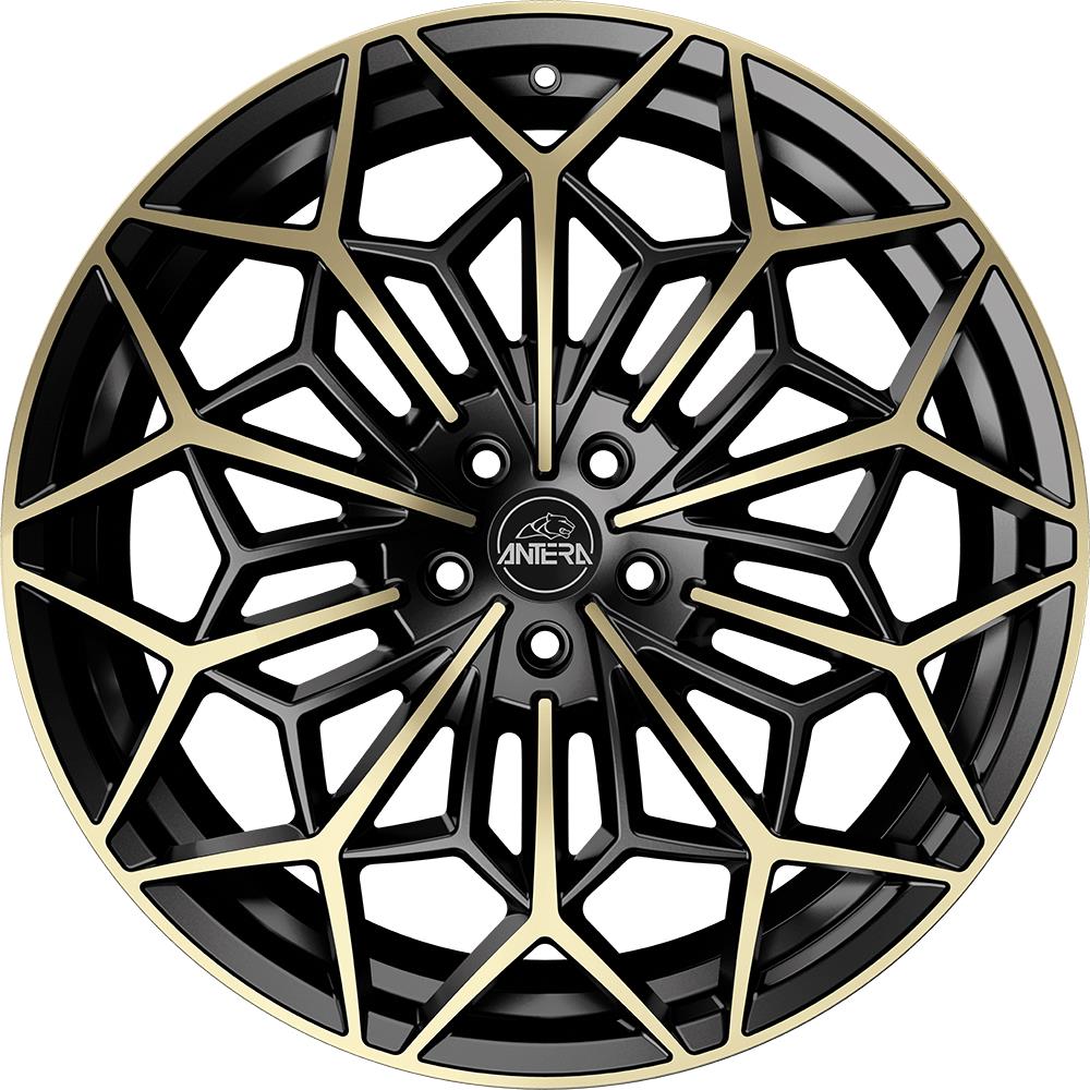 Antera A105 Piano Black Champagne 