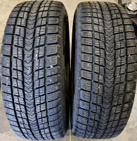 Nexen Winguard Ice 2019m. 8 mm.
