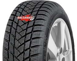 Gt radial  Winterpro 2