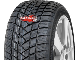 Gt radial  Winterpro 2 Sport (RIM FRINGE PROTECTION)