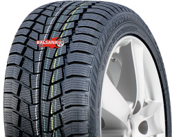 Gislaved  Euro Frost 6 (Rim Fringe Protection)