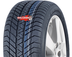 Platin  RP-70 Winter (Rim Fringe Protection)