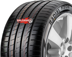 Minerva  Radial F205 (Rim Fringe Protection)