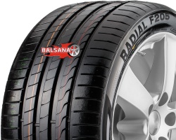 Minerva  Radial F205 (Rim Fringe Protection)