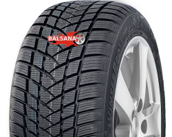 Gt radial  Winterpro 2 Sport (RIM FRINGE PROTECTION)