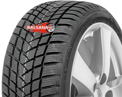 Gt radial  Winterpro 2 Sport (RIM FRINGE PROTECTION)