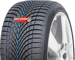Dunlop  All Season 2 M+S (Rim Fringe Protection)