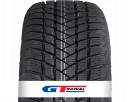 Gt radial  Winterpro 2 (RIM FRINGE PROTECTION)
