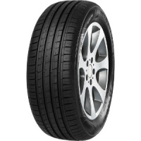 Minerva  Radial F209