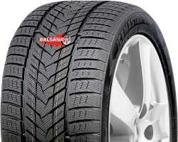 Fronway  ICEMASTER II (Rim Fringe Protection)