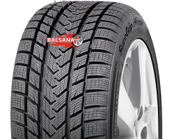 Gripmax  Suregrip eWinter (Rim Fringe Protection)