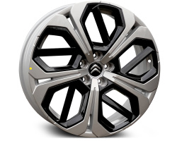 OEM CITROEN YL018709VX Black with Silver